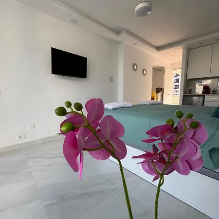 Ocean Glimpse- Americas